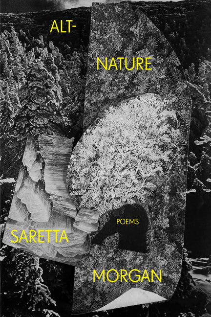 Alt-Nature - Ingram