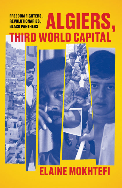 Algiers, Third World Capital: Freedom Fighters, Revolutionaries, Black Panthers - Ingram